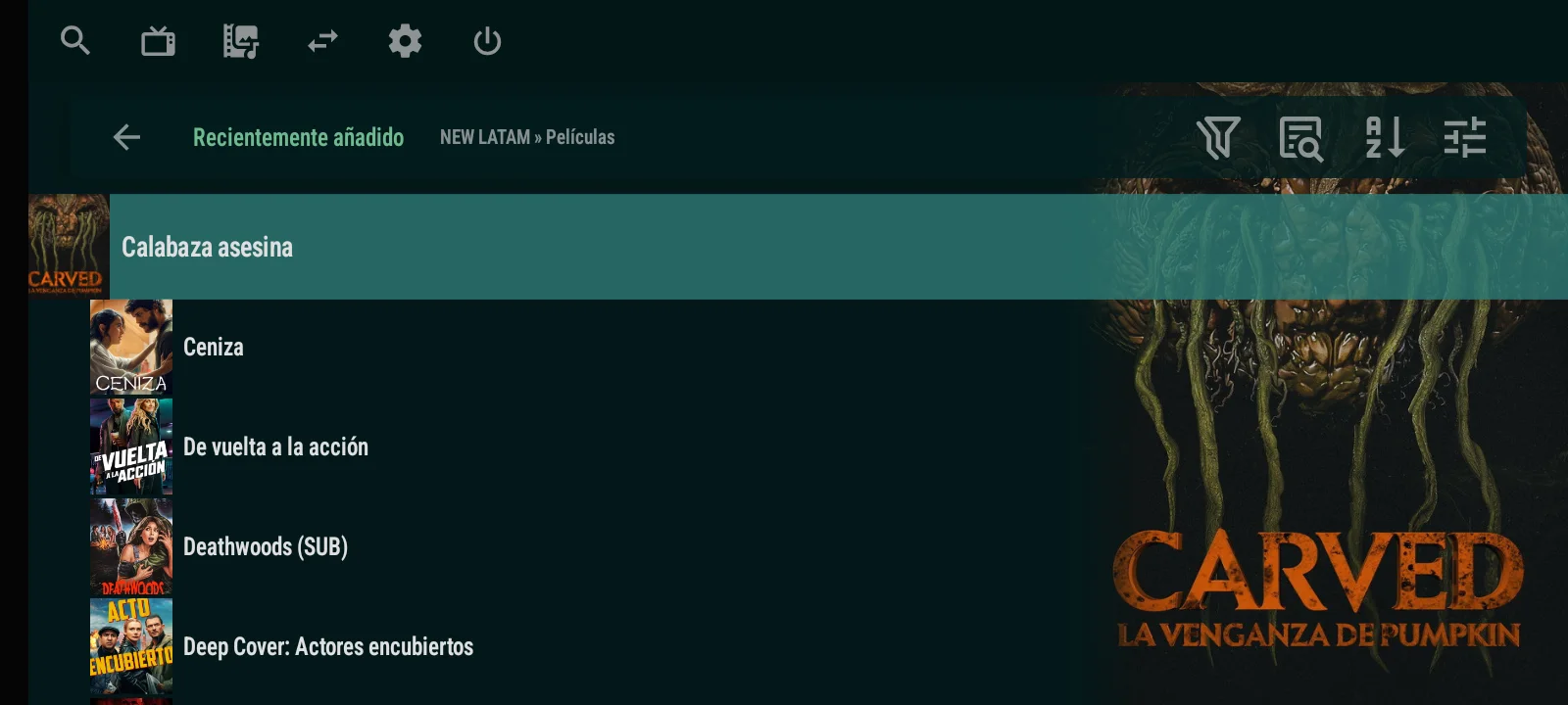 OTT Navigator Premium — Movies library with posters
